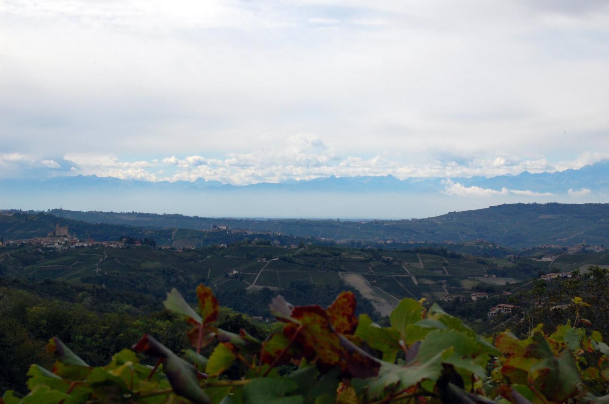 Montelupo Albese Agriturismo 'D Raine מראה חיצוני תמונה